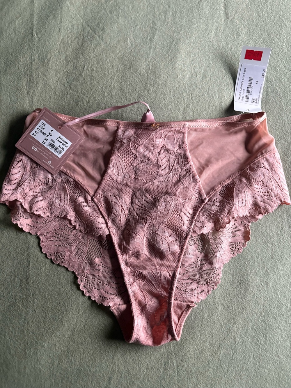 NWT Panache Radiance Deep Brief Lace Panty Hazel Pink XS (10464)